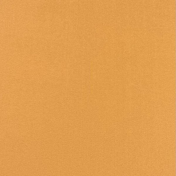 Feltro 3 Millimetri 35x50cm (Biscotto)