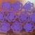 [Fustelle] Roselline Grandi Fustellate 10 Pezzi (Viola)