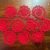 [Fustelle] Roselline Piccole Fustellate 10 Pezzi (Rosse)